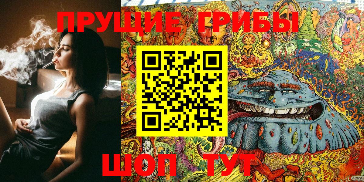 Псилоцибиновые грибы Psilocybine cubensis  Вход с VPN  Красноуфимск 